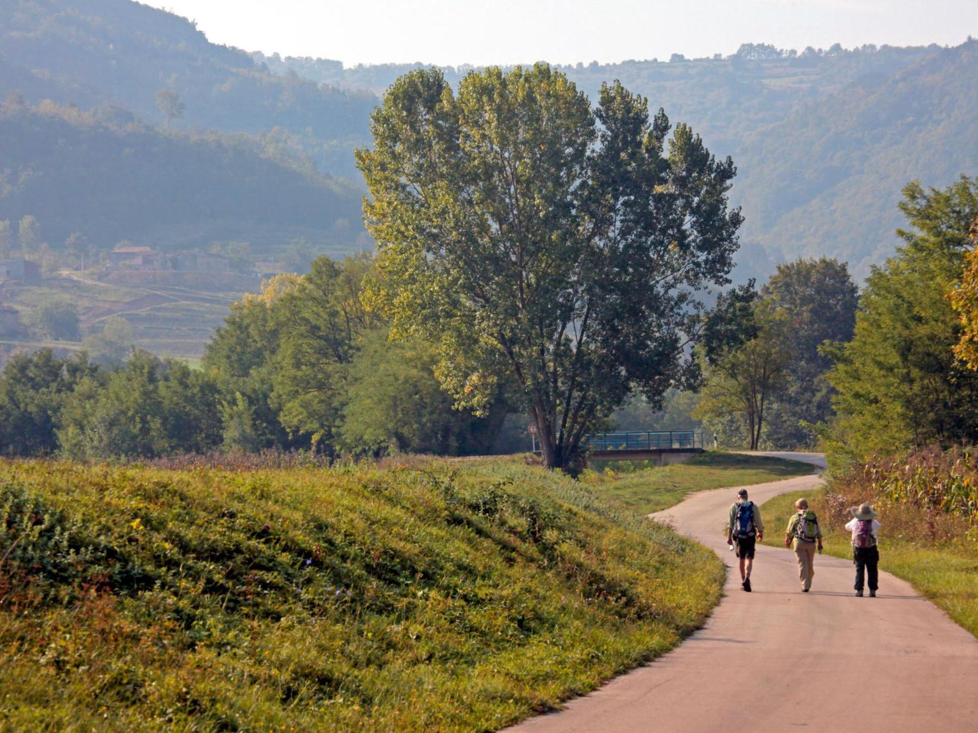 Holiday Home Poje - Mvn251 By Interhome Motovun Bagian luar foto